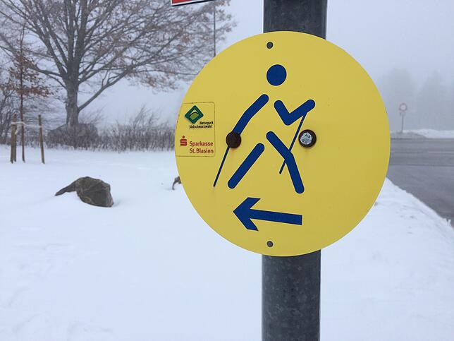 Bild 2: Diese Dinge sollten Sie noch tun, bevor der Winter wieder vorbei ist
