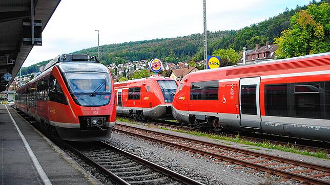 Der Bahnhof Waldshut (Aufnahme vom 27. September 2021). Wochenlang gab es Einschränkungen auf der Hochrheinstrecke.
