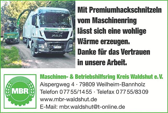 Bild 5: 53.Nöggenschwieler Rosentage: Fest im Zeichen der Rose