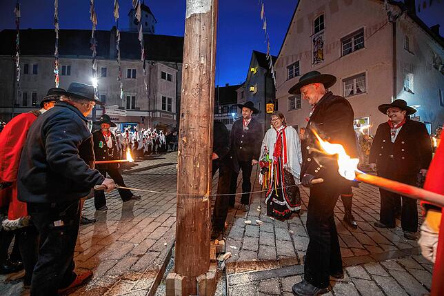 Bild 8: Die schönsten Bilder vom Narrenbaumfällen in Meßkirch