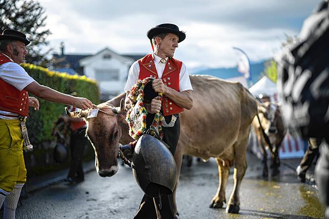 Traditionelle Viehschau im Schweizerischen Stein: Vor Jahrhunderten galten unsere Nachbarn aus Sicht der nörlichen Bodenseebewohner noch ...