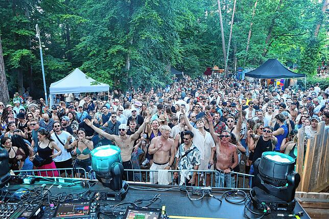 Bild 16: Konstanzer feiern bei Elektro-Liebe im Wald am Hörnle – hier gibt‘s die Bilder