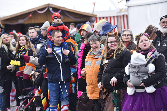 Bild 21: Bilder des großen Umzugs bei den Hattinger Narrentagen