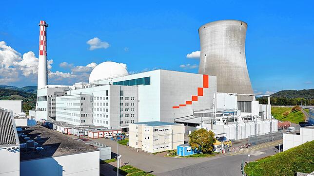Das Kernkraftwerk Leibstadt wird sich fünf Monate lang wie auf dieser Aufnahme bei einer früheren Revision ohne Dampffahne zeigen. ...