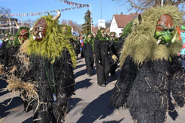 Bild 26: Bilder vom Narrentreffen der Urviecher-Zunft Bad Dürrheim: Großer Festumzug (1)
