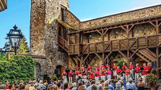 Vom 1. Juni bis 19. Juli finden die Waldshut-Tiengener Sommernächte statt. Hier ein Bild vom Storchenturm. Foto: Dieter Schäuble