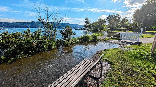 Bild 8: Hochwasser-Bilder von den Uferparks von Bodman-Ludwigshafen