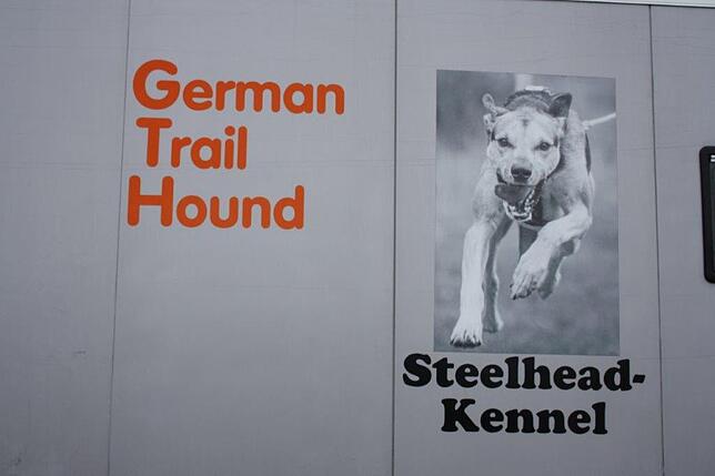 Bild 38: Das Internationale Schlittenhunderennen in Todtmoos 2019 in Bildern