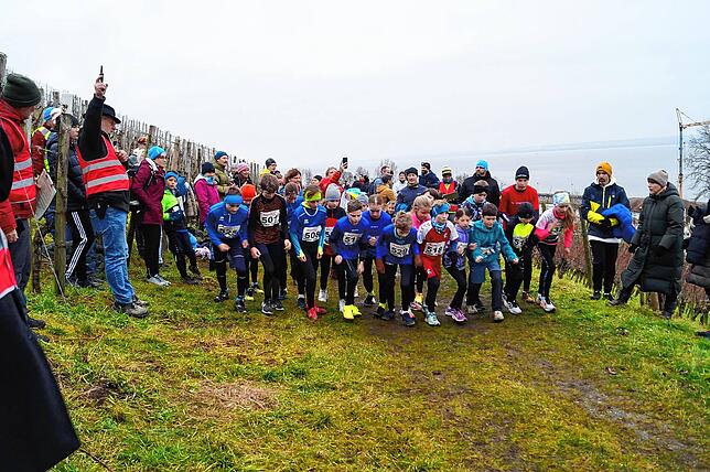Bild 21: Bilder vom Crosslauf Hegau-Bodensee in den Reben oberhalb der Haltnau