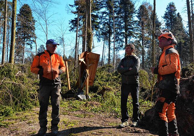 Bild 4: Wenn der Wald aufgeräumt wird: So laufen die Arbeiten im Gehau im Süden Markdorfs ab