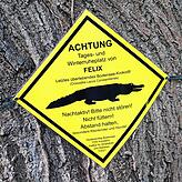 (Archivbild) Auf dem Schild war zu lesen: „ACHTUNG – Tages- und Winterruheplatz von Felix – Letztes überlebendes Bodensee-Krokodil – ...