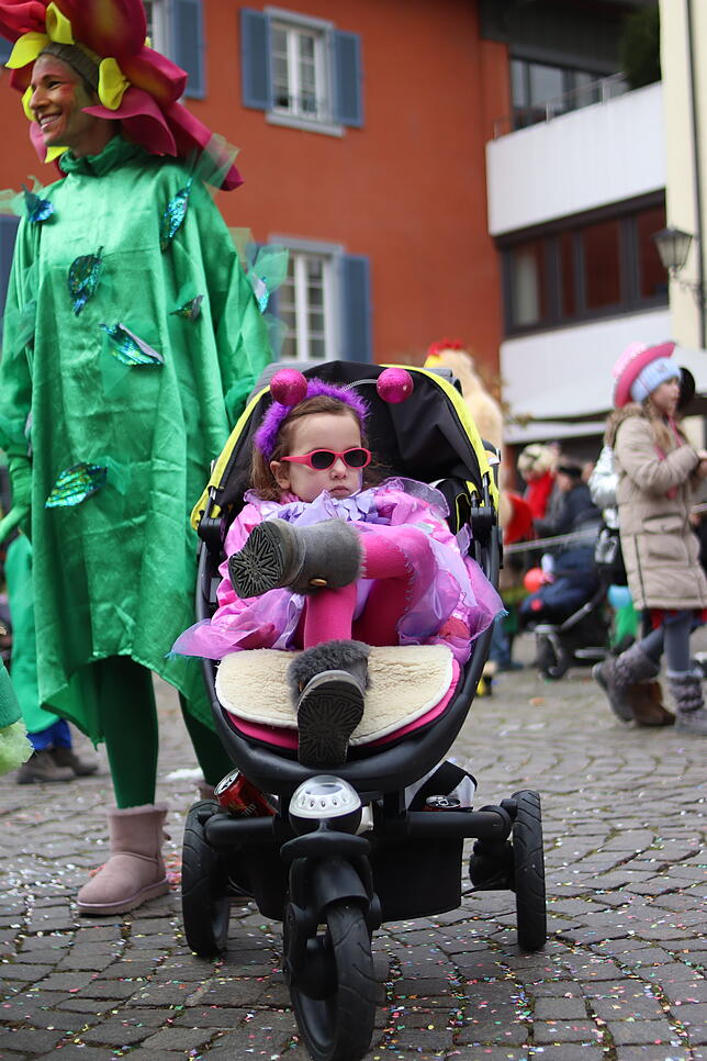 Bild 7: Die schönsten Bilder vom  Kindergartenumzug am Schmotzigen