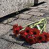 Der Regen des Wochenendes hat die Spuren der Bluttat am Tatort in Kreuzlingen weggespült. Jemand hat Blumen &ndash; rote Rosen und ...