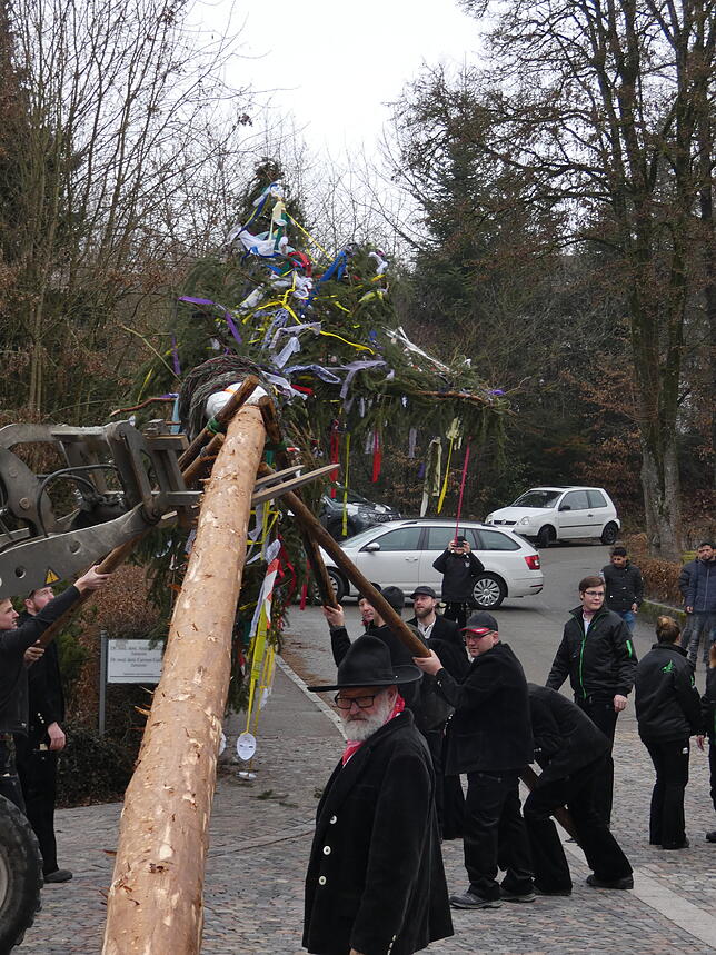 Bild 6: Bilder vom Narrentreffen in Albbruck