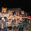 Mit dem Narrenbaumstellen auf dem Rippolinger Rathausplatz begann die närrische Saison in den Stadteilen Harpolingen und Rippolingen. ...