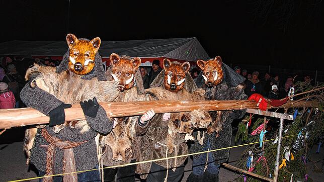 Mit dem Narrenbaumstellen auf dem Rippolinger Rathausplatz begann die närrische Saison in den Stadteilen Harpolingen und Rippolingen. ...