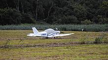 Am Mittwochmittag, 7. August, steht das Kleinflugzeug nach der Notlandung noch abgedeckt auf dem Feld. Während sich die Störche im ...
