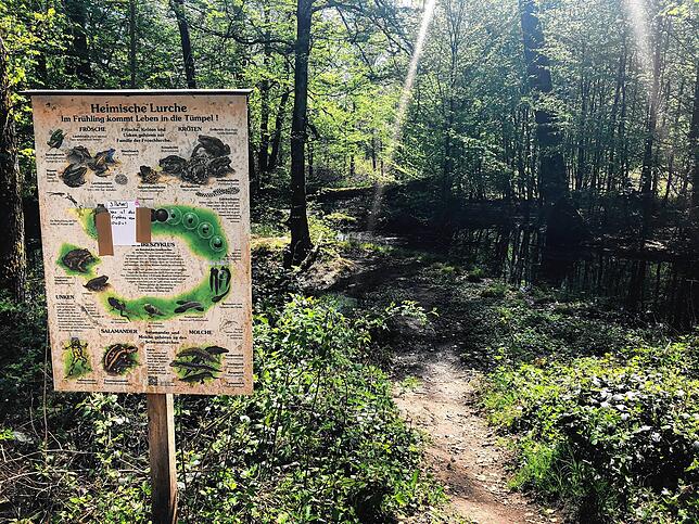 Bild 9: Wandern vor der Haustür (Teil 3): Zu den Toblerone-Häusern und zum Froschteich auf dem Waldshuter Aarberg