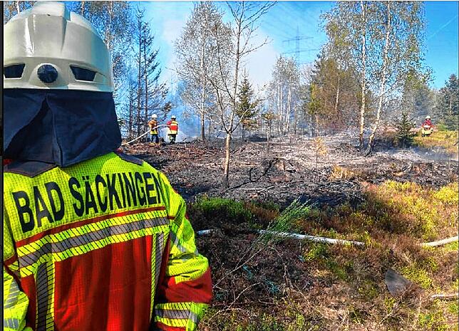 Die Feuerwehr löscht einen Waldbrand: Einsätze wie dieser im April 2022 in Rippolingen sind in diesem Sommer häufig.