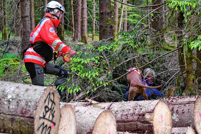 Da Jagdhund Zsuzsa nicht bellt, führt er seine Besitzerin an der Leine zu der liegenden Person. Foto: Isabell Michelberger