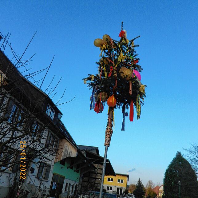 Narrenbaum von Hansele. Giovanni Demasi aus der Friedhofstraße in Wahlwies. Das Bild machte Wolfgang Märte.