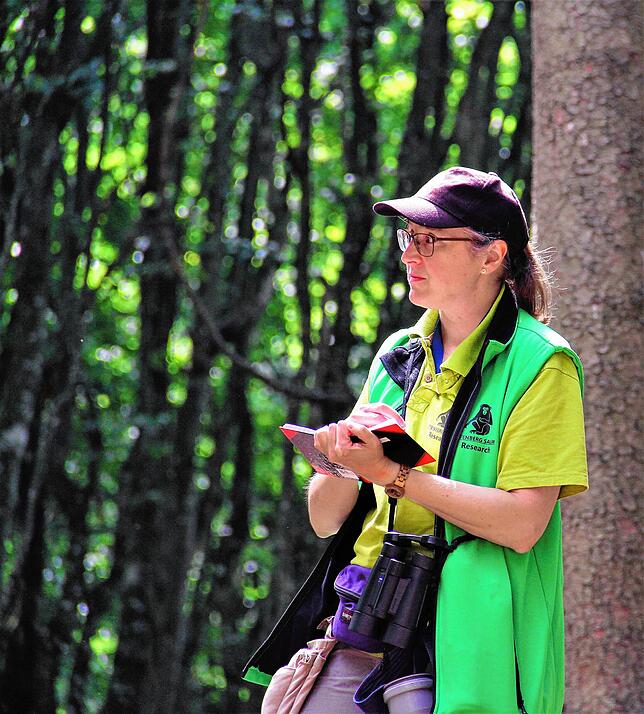 Beobachten statt Berühren: Die Biologin Brigitte Schlögl bei der Arbeit im Affenberg.