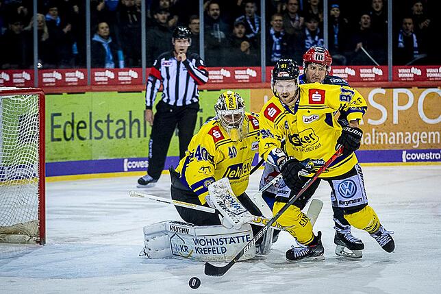 Bild 24: Bilder: Wild Wings vs. Krefeld Pinguine