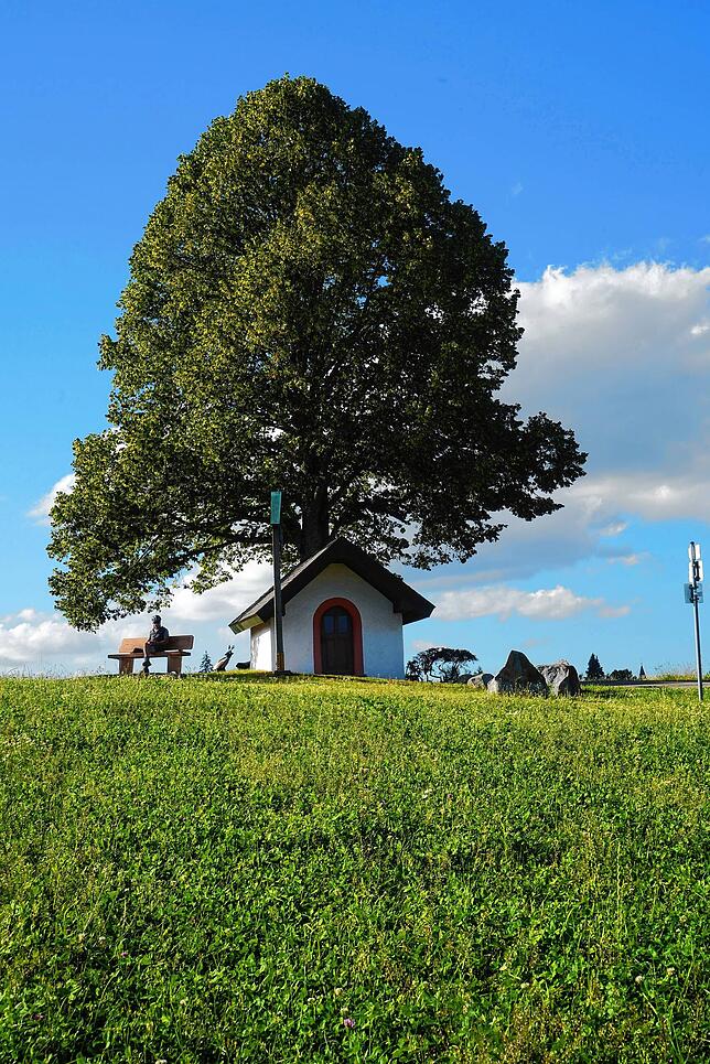 Klosterweg St.-Blasien Waldshut