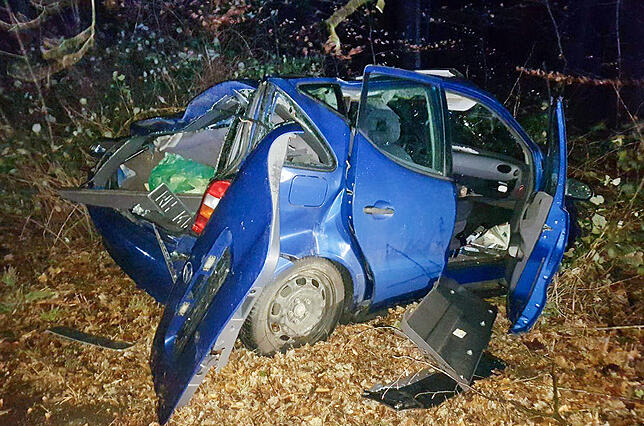 Ein umgestürzter Baum hat in Mülheim an der Ruhr ein Auto zerstört