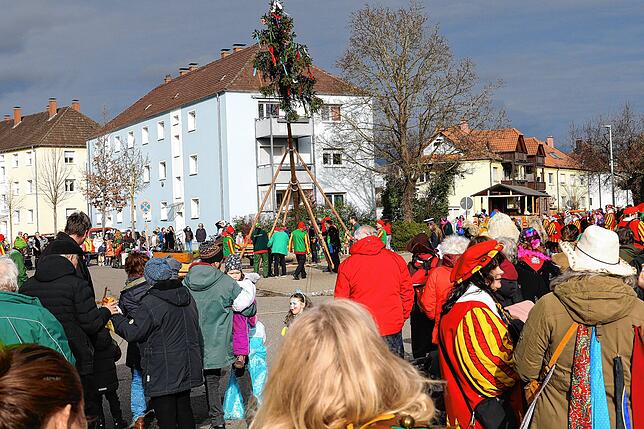 Bild 8: Bilder des Narrenbaumstellens der Froschenzunft Radolfzell