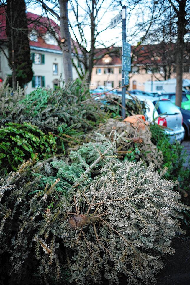 Bild 2: O Tannenbaum: Warum die Christbäume in Konstanz an den Abholstellen vor sich hin darben &ndash; und die EBK-Mitarbeiter trotzdem Überstunden macht