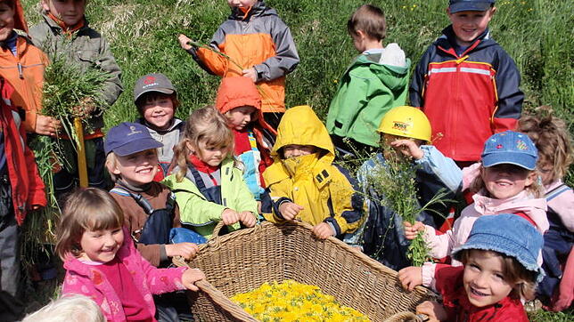 Die Jestetter Kindergärten sind erneut an die Grenze ihrer Kapazität gelangt, was mittelfristig einen weiteren Neubau notwendig machen ...