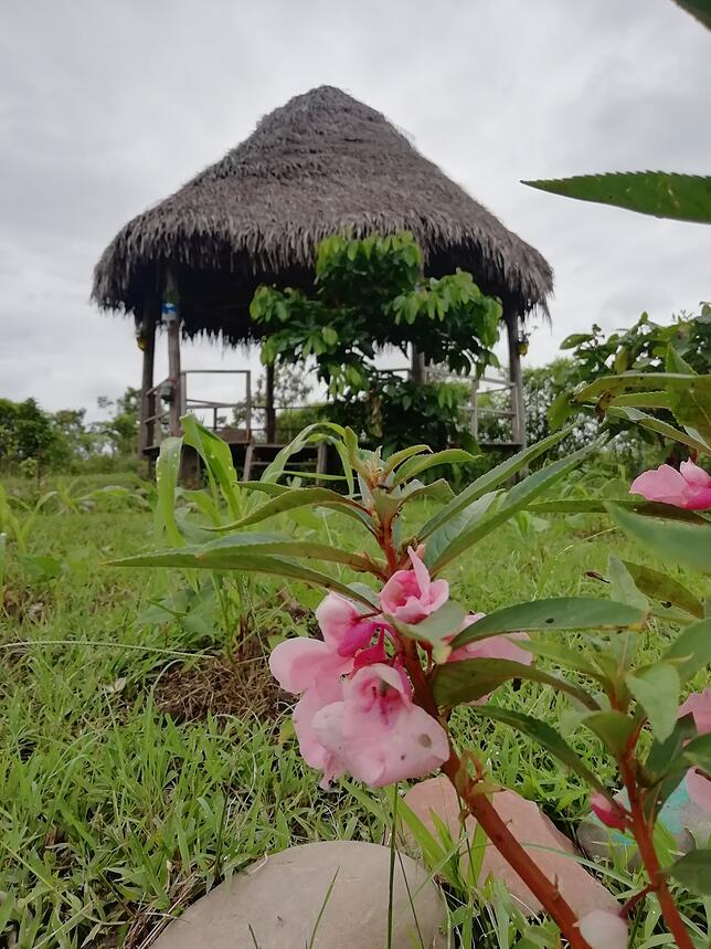 Was der Bräunlinger Verein in Peru geschaffen hat, ist eine kleine Idylle abseits der Stadt.