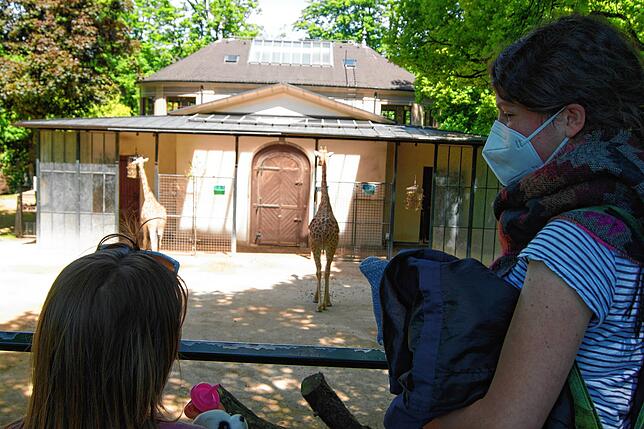 Bild 3: Der erste Besuch im Basler Zoo nach dem Lockdown: &bdquo;Ich freue mich jetzt richtig&ldquo;