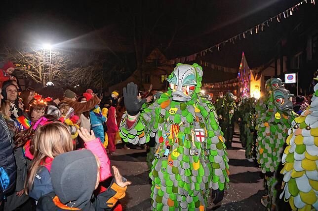 Bild 6: Nachtumzug Möggingen 2025: Fasnacht in Bildern – 30 Gruppen in voller Pracht