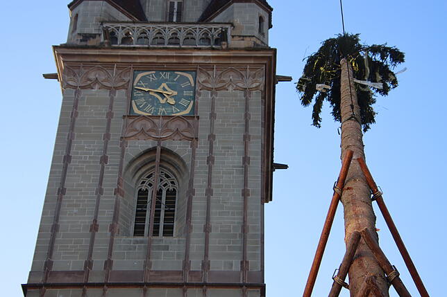 Bild 1: Der Narrenbaum steht! Die schönsten Bilder vom Narrenbaumstellen in Radolfzell