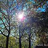 Sonnenschein satt, Rekorde im Herbst 2023: Die Sonne lockte auch Ende September noch viele Menschen in den Schlosspark in Bad Säckingen.