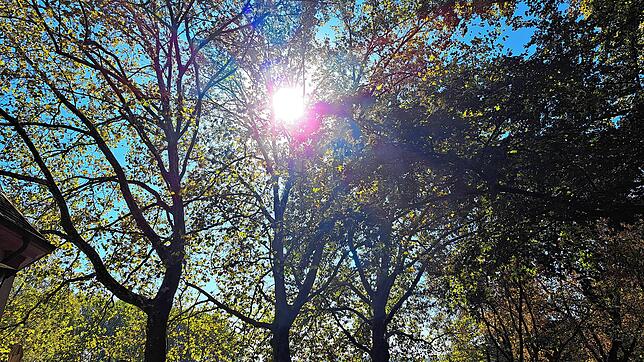 Sonnenschein satt, Rekorde im Herbst 2023: Die Sonne lockte auch Ende September noch viele Menschen in den Schlosspark in Bad Säckingen.