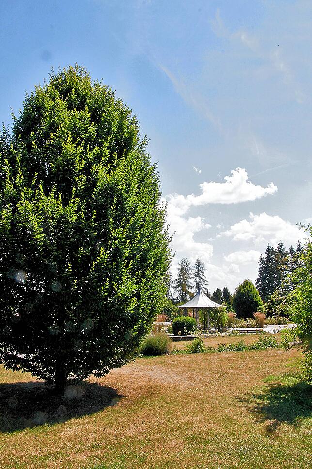 Bild 26: Bilder vom Villinger Hubenloch und dem Rosengarten