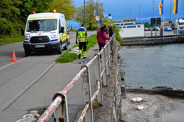 Die Mitarbeiter der Großtierrettung Radolfzell sind angerückt. Tierfreunde helfen beim Ausladen der Säcke und Passanten bleiben immer ...