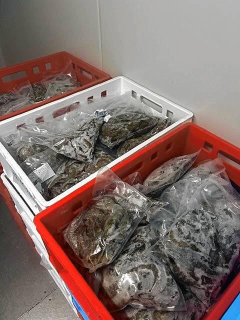 Die Crevetten werden mit einem Rabatt von rund 60 Prozent auf den ursprünglichen Kilopreis verkauft.