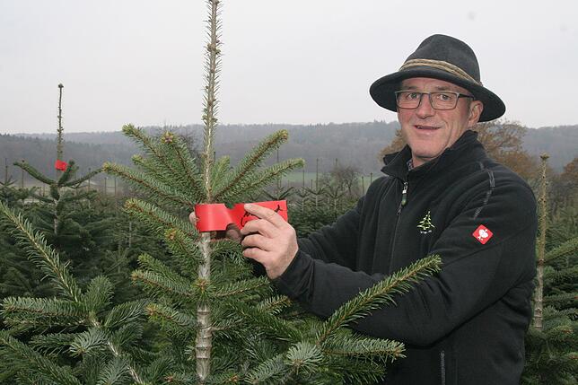 Bäume können ausgesucht und reserviert werden. Bernd Grießer bringt eine Etikette mit Namen an.
