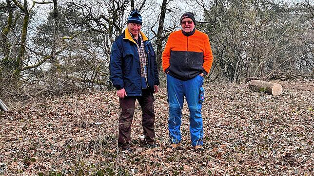 Die Brüder Erwin (links) und Manfred Hierholzer entfernen zugunsten von Wiesen Büsche und drängen den Waldrand auf der Halbinsel ...