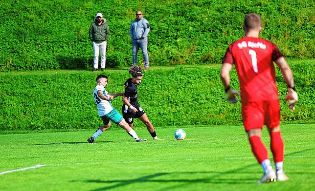 Bild 12: Unsere Bildergalerie vom 4:0-Sieg des FC Gutmadingen bei der SG Riedöschingen/Hondingen