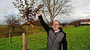 Roland Kerller aus Weisweil hat auf rund 2000 Quadratmetern eine Streuobstwiese angelegt. Er bricht auch eine Lanze für die Baumpflege.