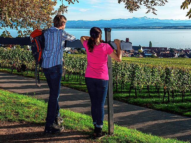 Herrlicher Aussichtspunkt in den Weinbergen.