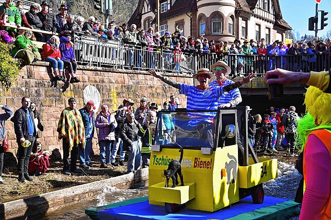 Bild 11: Die besten Bilder der Schramberger Bachnafahrt am Rosenmontag