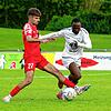 Bild :