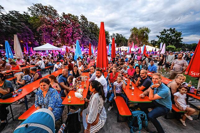 Bild 13: Die schönsten Bilder vom Hausherrenfest in Radolfzell!