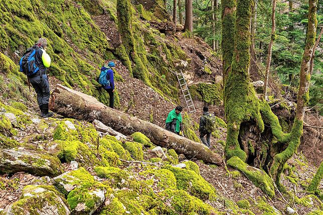 Private Suchaktion: Immer wieder wurde nach der seit September 2020 vermissten Wanderin Scarlett S. gesucht. Hierbei ist besonders im ...